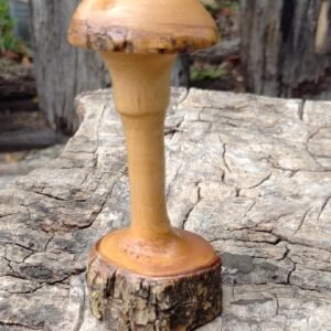 Jacaranda Mushroom